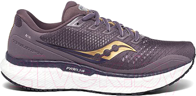 Кроссовки Saucony Triumph 18 Deep Dusk/Gold / S10595-20 (р.8.5)