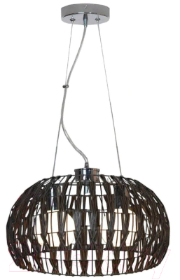 

Потолочный светильник Lussole, Promo Fenigli GRLSX-4173-02