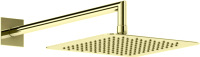 

Верхний душ Cezares, PORTA-TDDQ-30-SR