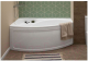 Миниатюра изображения товара Экран для ванны Aquanet Jersey Sofia L/R 170 (243486)