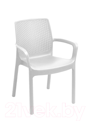 

Стул пластиковый GreenDeco, Regina REG16CBI