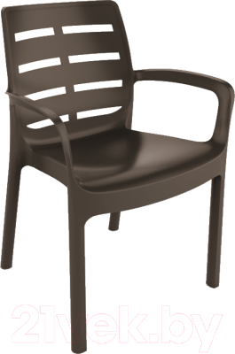 

Стул пластиковый GreenDeco, Borneo BOR040MA