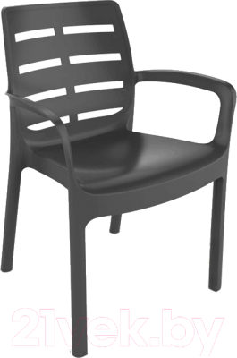 

Стул пластиковый GreenDeco, Borneo BOR040AN