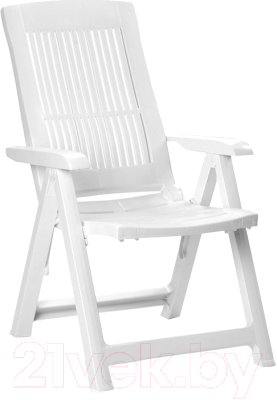 

Стул пластиковый GreenDeco, Tampa TMP040BI