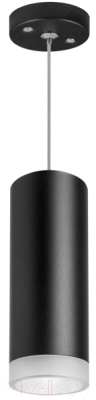 Потолочный светильник Lightstar Rullo RP48730