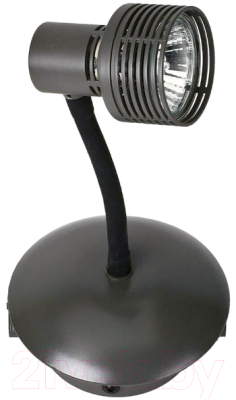 Трековый светильник Lussole Loft LSP-9821