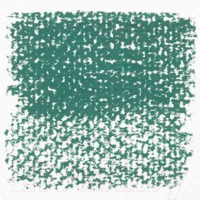 Пастель сухая Rembrandt 619.3 / 31996193 (зеленый темный прочный)