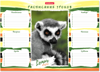 

Расписание уроков Erich Krause, Lemur Style / 49715