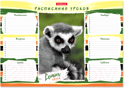 

Расписание уроков Erich Krause, Lemur Style / 49715