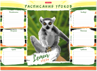 Расписание уроков Erich Krause Lemur Style / 49716 - 