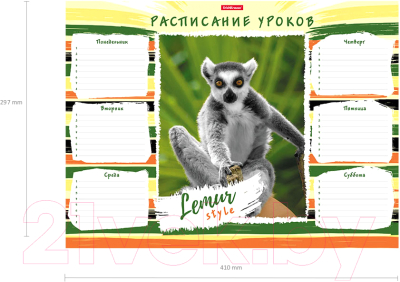 Изображение товара Расписание уроков Erich Krause Lemur Style / 49716