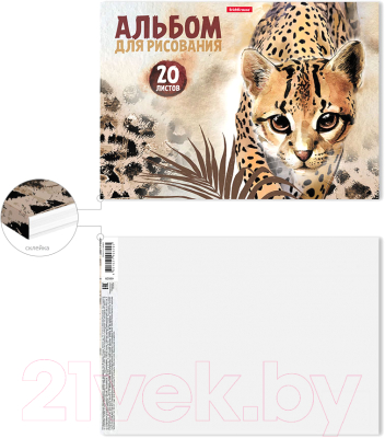 Альбом для рисования Erich Krause Wild Cat / 49829