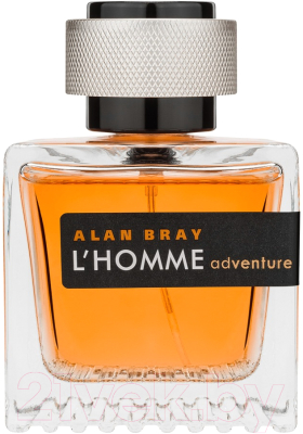 Туалетная вода Alan Bray L'Homme Adventure for Men (100мл)
