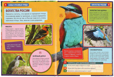 Энциклопедия Умка Самые красивые птицы