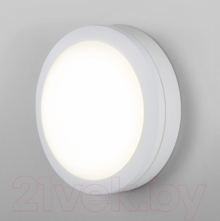 Бра уличное Elektrostandard LTB51 LED 15W 6500K (белый)