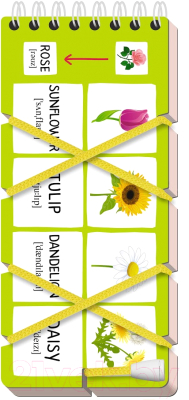 Изображение товара Развивающая книга Айрис-пресс Игры со шнурком. English. Растения