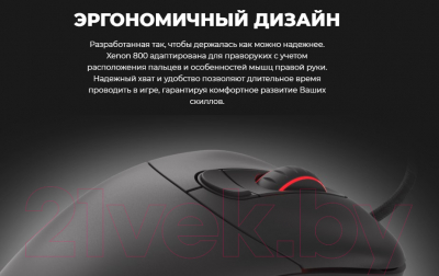 Мышь GENESIS Xenon 800 / NMG-1629 (черный)