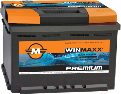 Автомобильный аккумулятор Monbat Winmaxx A88B4W0_1 низкий (80 А/ч)