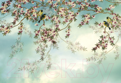Фотообои листовые Komar Sakura 8-213 (368x254)