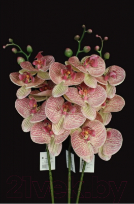 Искусственный цветок Orlix Орхидея / 06-149-O