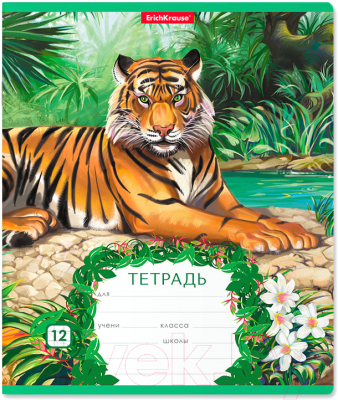 

Тетрадь Erich Krause, Джунгли / 46540