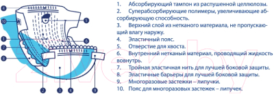 Подгузники для животных Luxsan Premium XS 2-4кг (18шт)