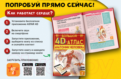 Энциклопедия АСТ Большой 4D-атлас анатомии человека (Спектор А.А.)