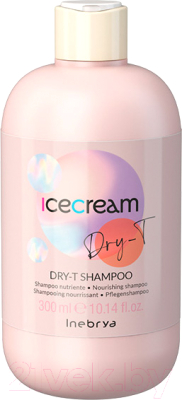 Шампунь для волос Inebrya Dry-T питательный для увлажнения сухих и пористых волос (300мл)