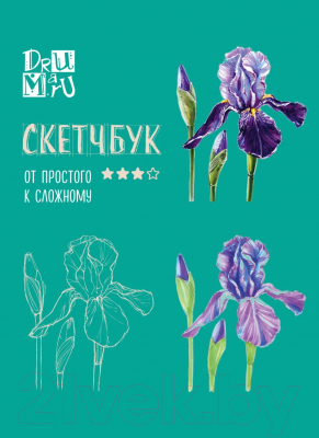 Творческий блокнот Эксмо Скетчбук по ботанической иллюстрации (Дрюма Л.А.)