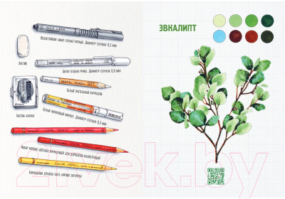 Творческий блокнот Эксмо Скетчбук по ботанической иллюстрации (Дрюма Л.А.)