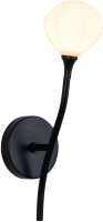 

Бра FAVOURITE, Suri 2688-1W