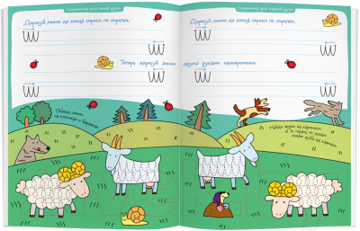 Раскраска Айрис-пресс Рисуй и стирай. 5+ Колечки у овечки + фломастер (Куликова Е.)