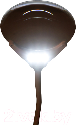 Лампа-лупа Levenhuk Zeno Lamp ZL13 / 74085 (черный)
