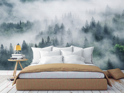 Фотообои листовые Citydecor Лес в тумане (400х254)