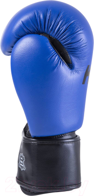 Боксерские перчатки KSA Spider Blue (6oz)