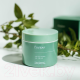 Миниатюра изображения товара Крем для лица Fraijour Original Herb Wormwood Calming Watery Cream (100мл)