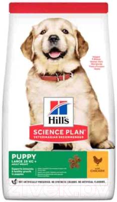 Сухой корм для собак Hill's Science Plan Puppy Healthy Development Large Breed Chicken (2.5кг)