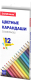 Набор цветных карандашей Erich Krause Basic / 50529 (12цв) - 