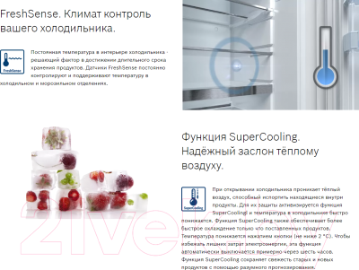 Холодильник с морозильником Bosch Serie 6 VitaFresh Plus KGN39AD31R