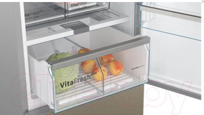Холодильник с морозильником Bosch Serie 8 VitaFresh Plus KGN39LQ32R