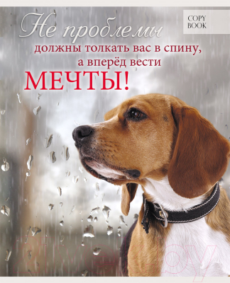 

Тетрадь Проф-Пресс, Мотивация / 48-2938