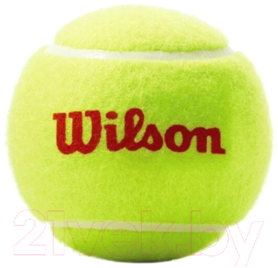 Набор теннисных мячей Wilson Roland Garros / WRT147700 (3шт)