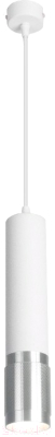 Потолочный светильник Elektrostandard DLN108 GU10 (белый/серебристый)
