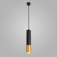 Потолочный светильник Elektrostandard DLN108 GU10 (черный/золотистый) - 