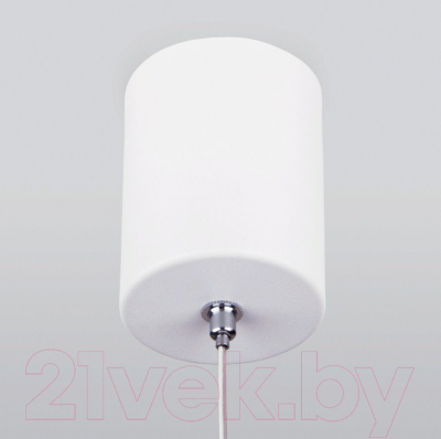 Потолочный светильник Elektrostandard DLS028 6W 4200K (белый)