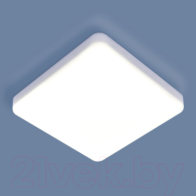 Потолочный светильник Elektrostandard DLS043 10W 4200K