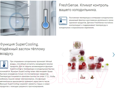 Холодильник с морозильником Bosch Serie 6 VitaFresh Plus KGN39AD31R