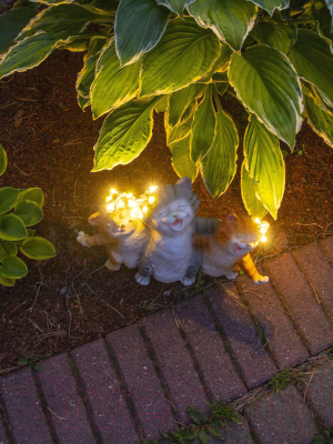 Садовая фигура-светильник Чудесный Сад 208 Веселые коты