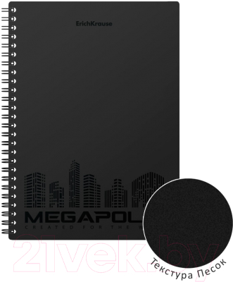 Изображение товара Тетрадь Erich Krause Megapolis / 50656 (80л, клетка)