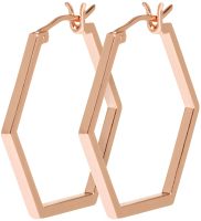 

Серьги Cluse, CLJ50004
